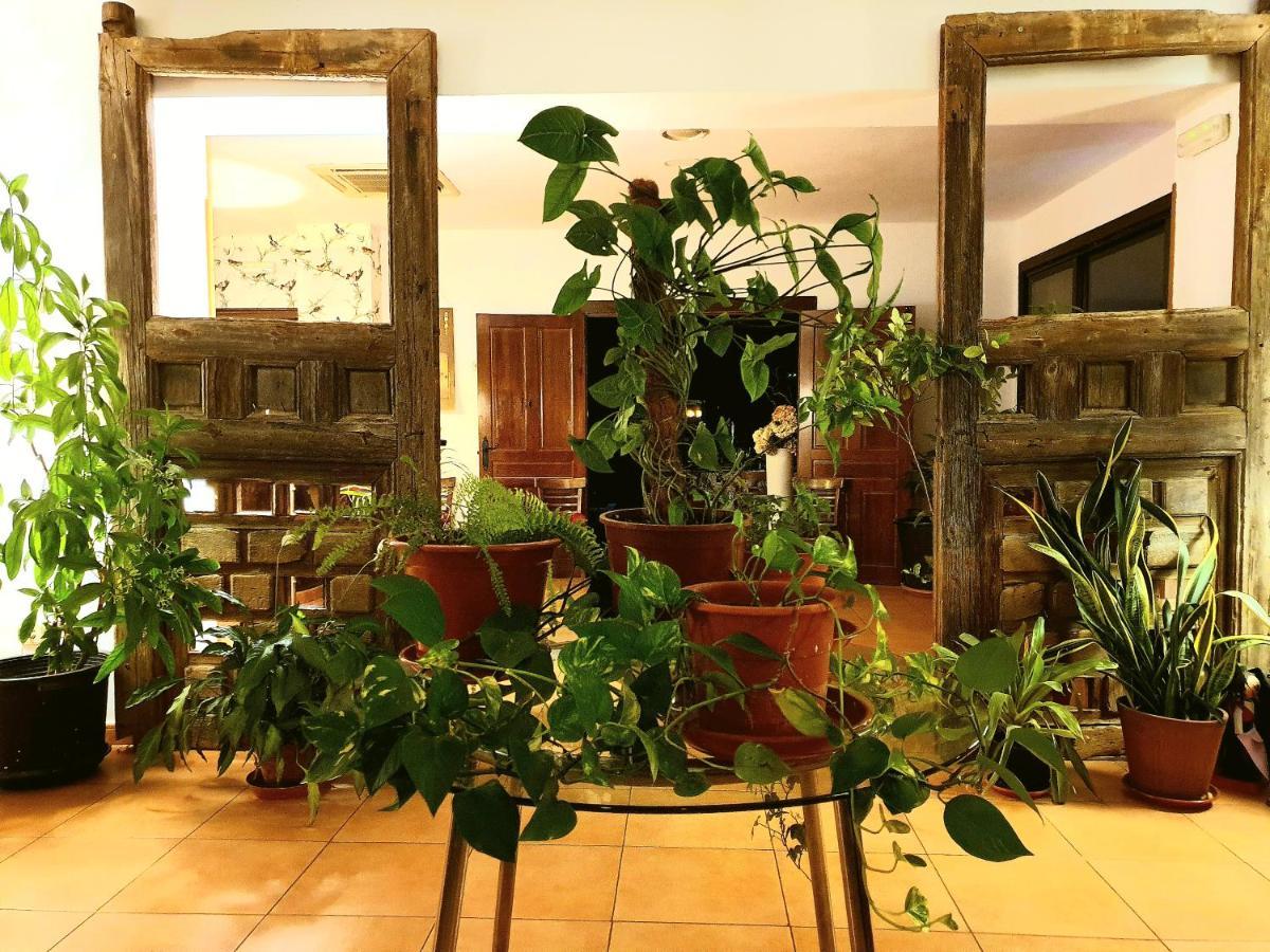 El Rincon De La Espe Otel Albalate De Zorita Dış mekan fotoğraf